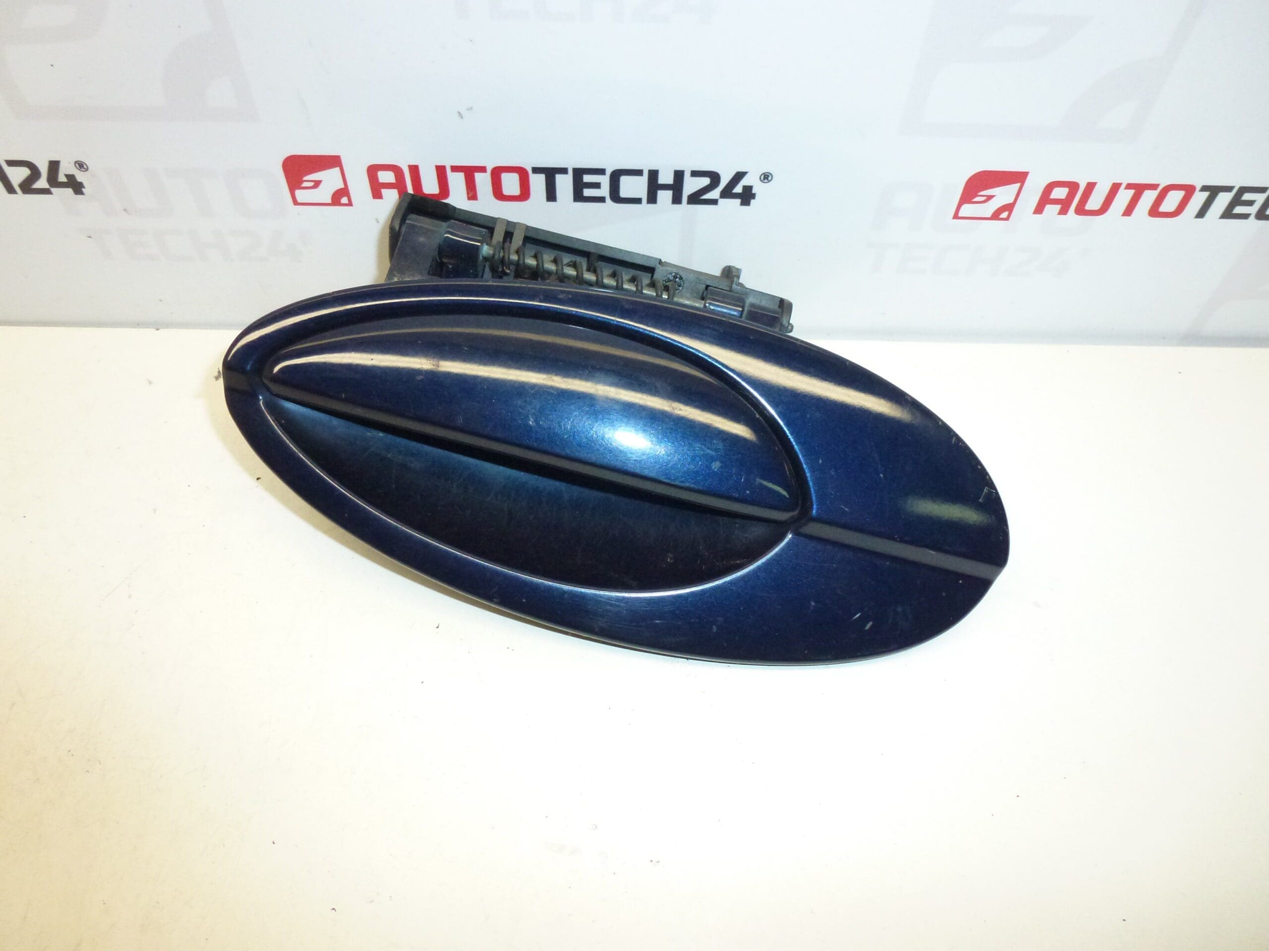 Türgriff hinten links Citroën C5 I und II 9631831077 9101S7 KPKD
