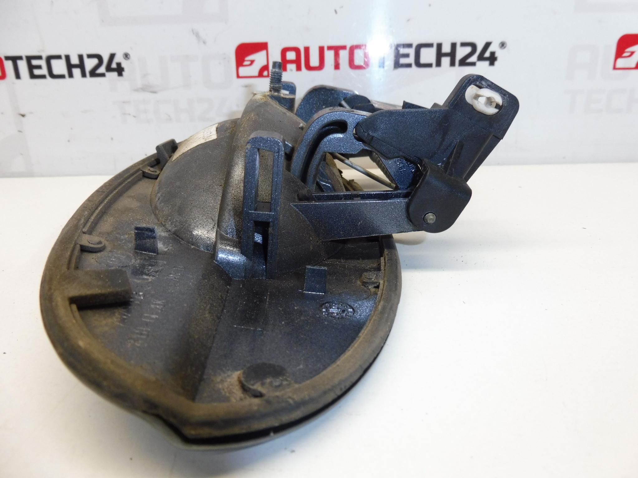 Türgriff hinten rechts EZWD Citroën C5 I und II 9631830977 9101S8
