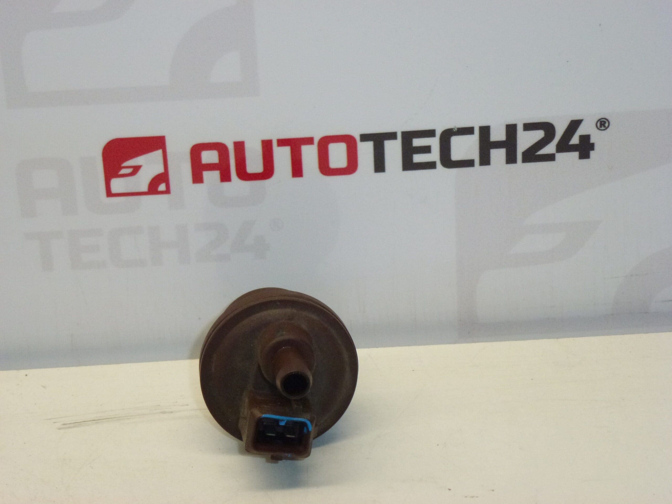 Aktivkohleventil Citroën Peugeot 2580008C 16287G