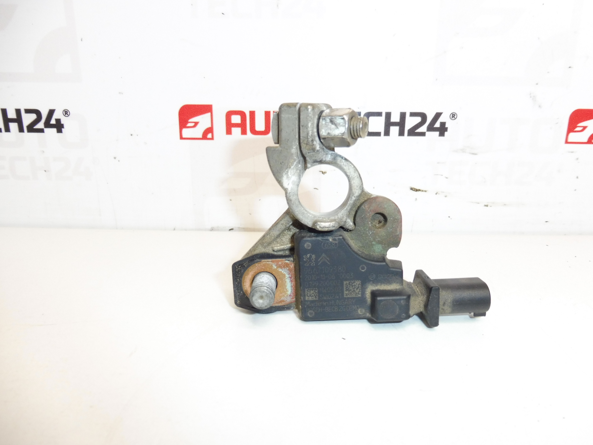 Citroën Peugeot Batterieladegerät 9667109380 9802043480 6500KS