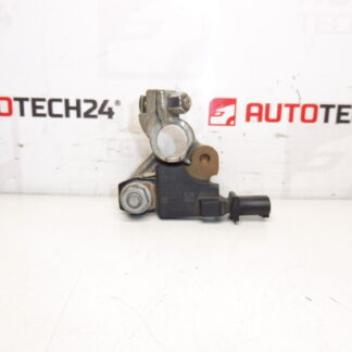 Citroën Peugeot Einheit 9676592280 9802043580 6500KV
