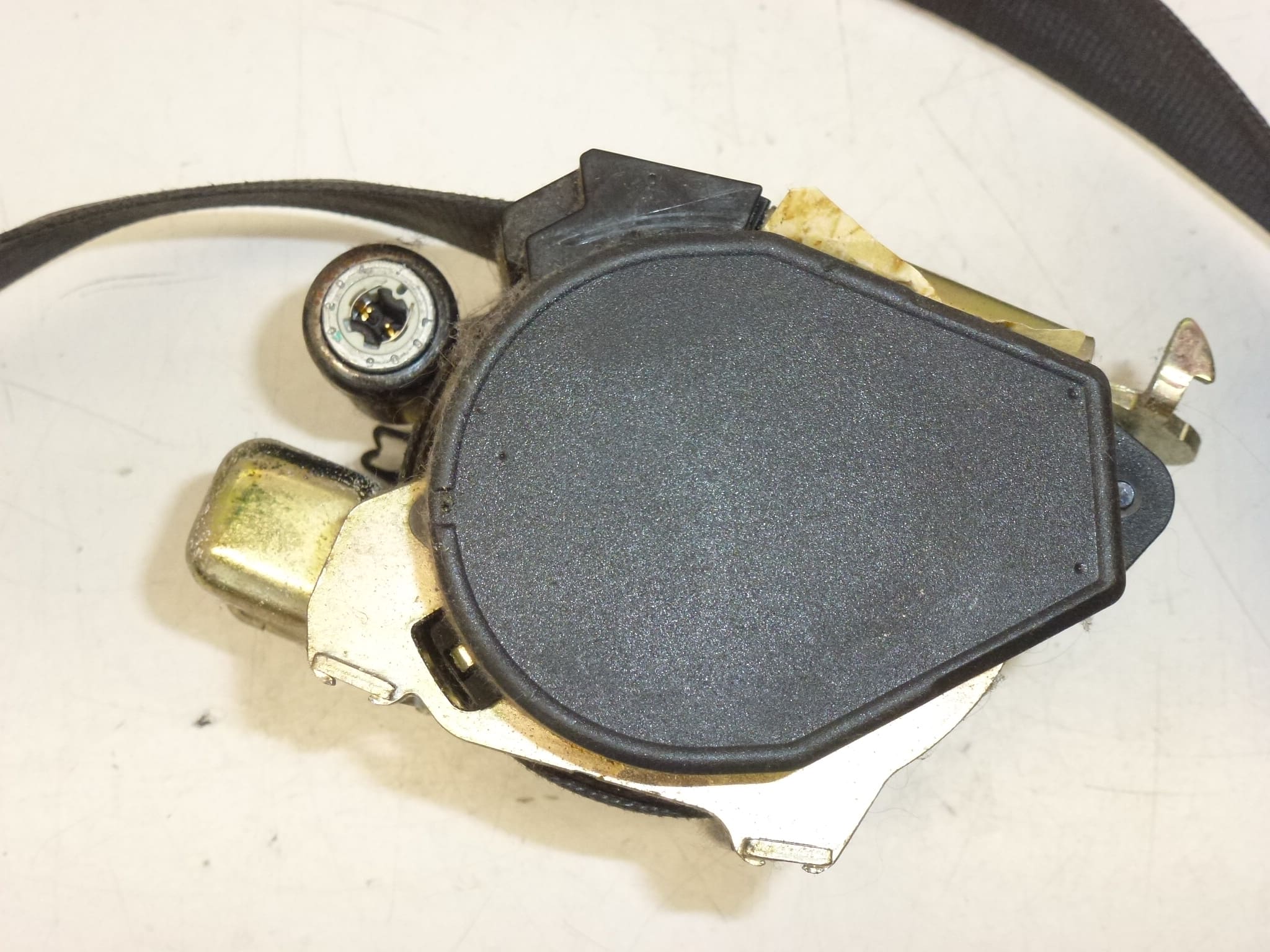 Gürtel vorne links Citroën Xsara Picasso 96314387XX 8974L7