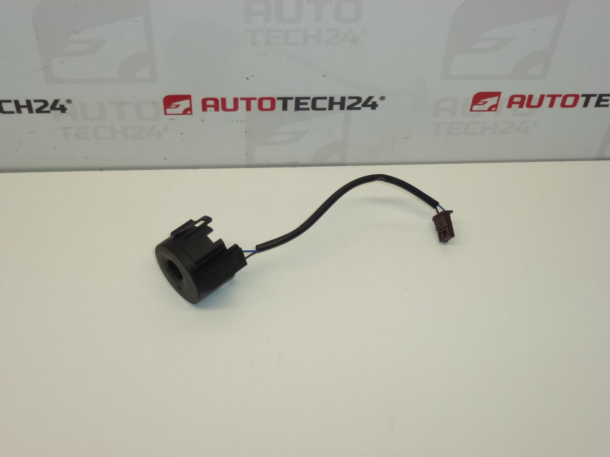 Transponderantenne immo 9663123380 6160C1