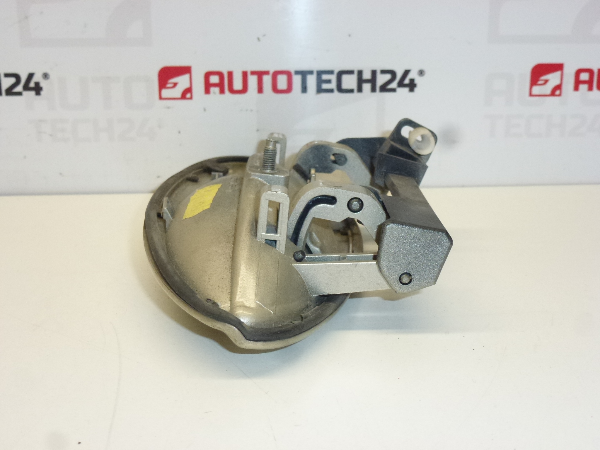 Türgriff hinten links Citroën C5 I und II 9631831077 9101S7 KCH