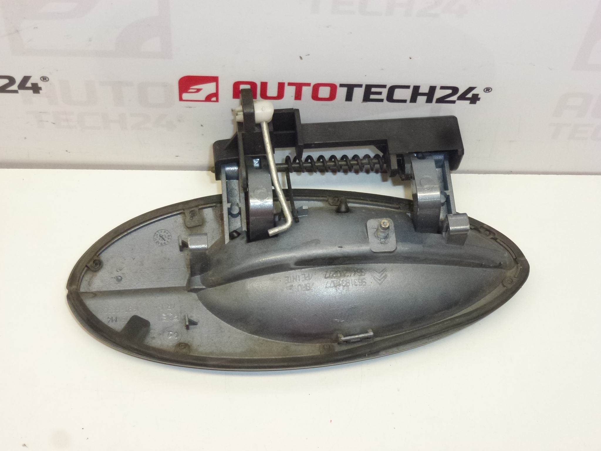 Türgriff hinten links Citroën C5 I und II 9631831077 9101S7 EYTC