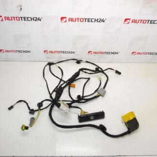 Citroen C4 Picasso Valeo 6505W3 5243586 Sitzbündel
