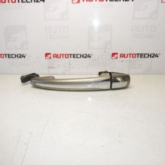 Citroën 9101HS Türgriff Tür