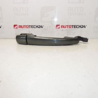 Citroën Peugeot EZQC 9101er Türgriff