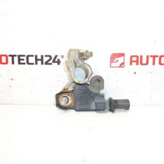 Citroën Peugeot 9666919780 Negative Pole Einheit