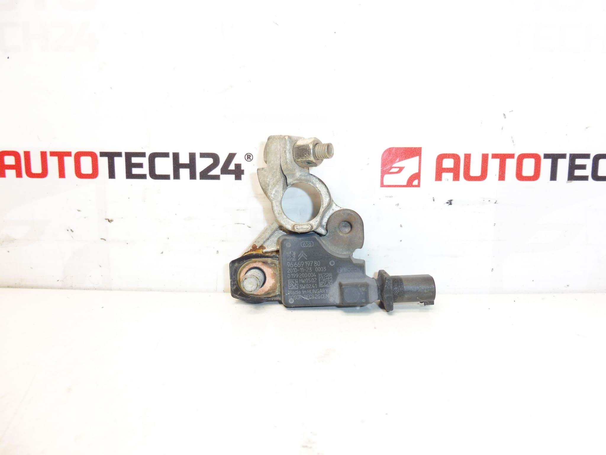 Citroën Peugeot 9666919780 Negative Pole Einheit