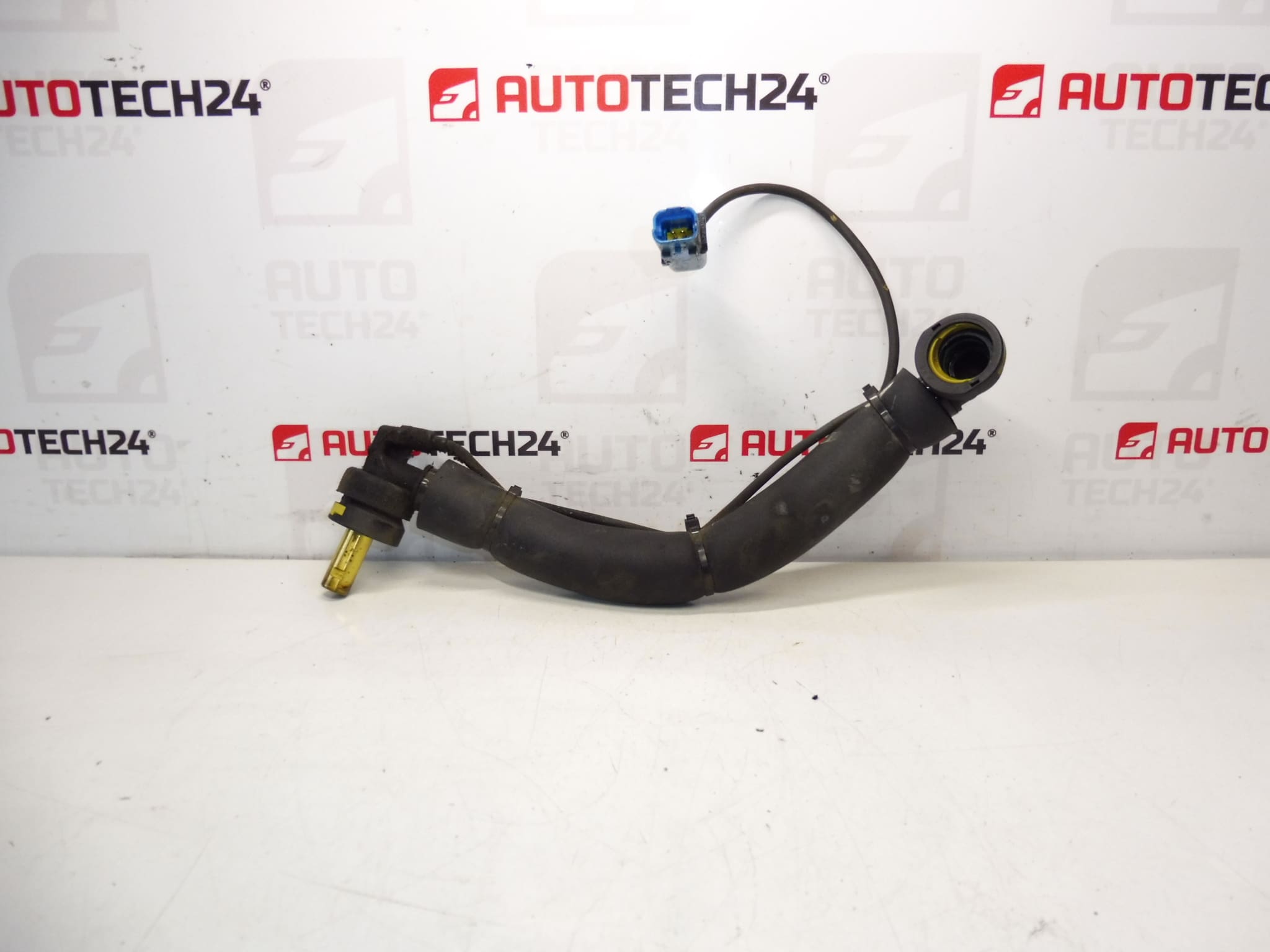 Verbindung des Citroën Peugeot 1.8 16V und 2.0 16V 9659928480 1192Z6