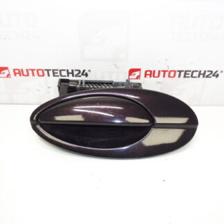 Türgriff hinten links Citroën C5 I und II 9631831077 9644270277 9101S7 EFBD