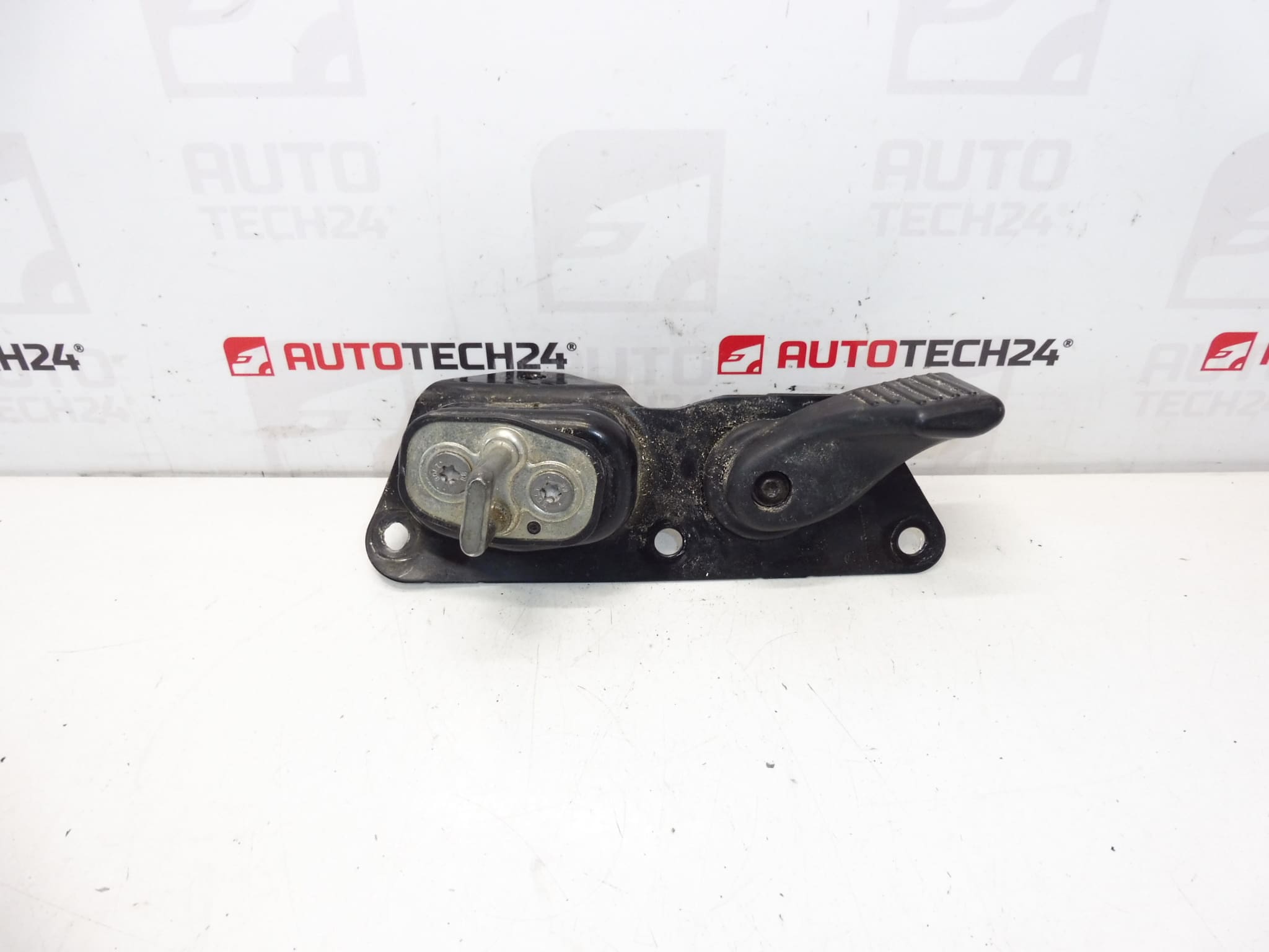 Mechanismus von Citroën Berlingo III 8719C9 9818171480 Türen