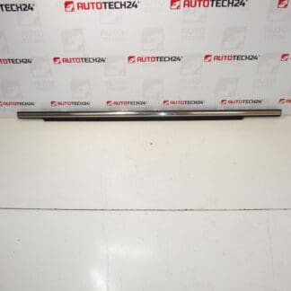 Citroen C-Crosser Peugeot 4007 9309p6 Hintertür