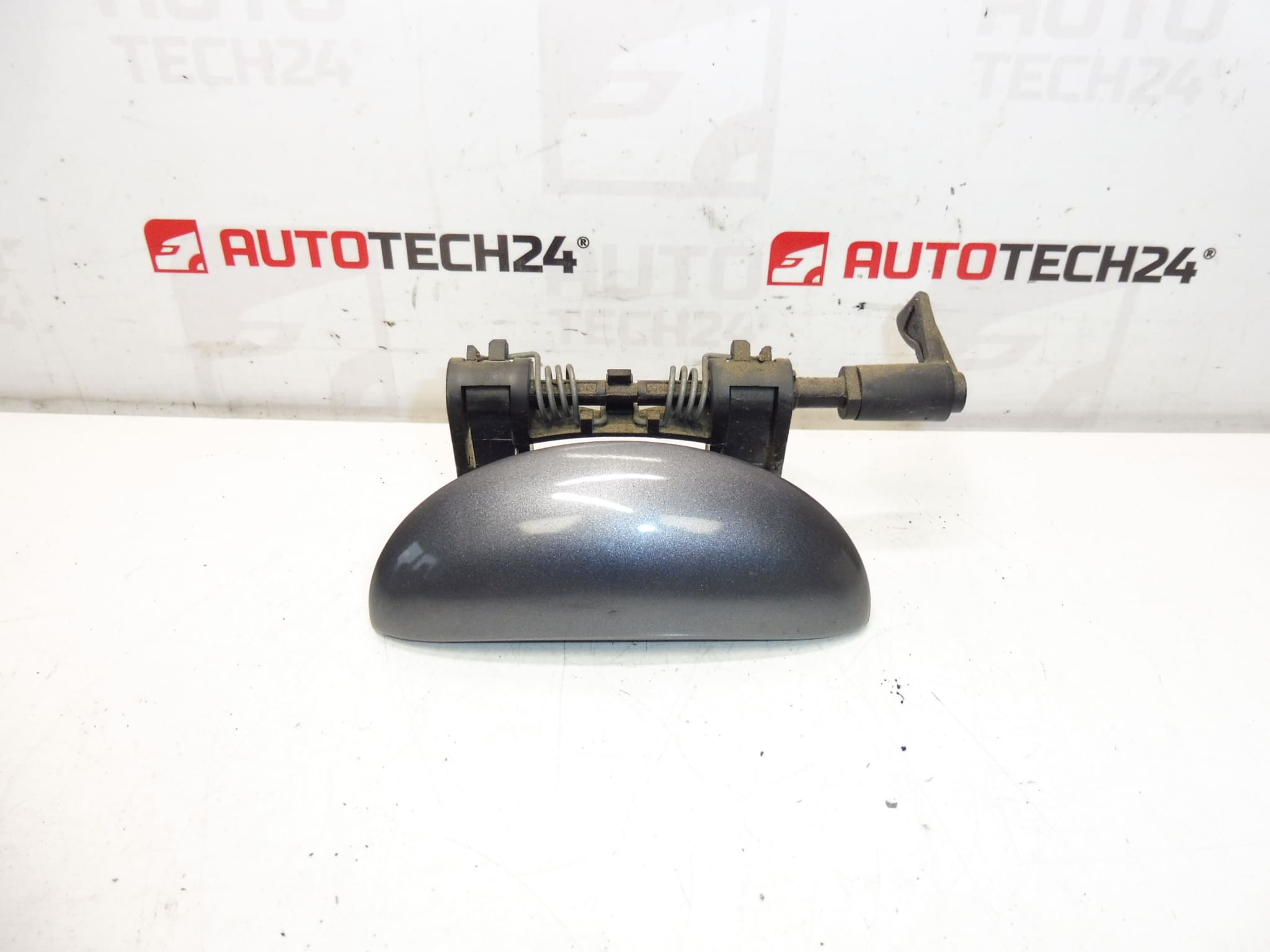 Türgriff links hinten Peugeot 206 206+ KGS 9101N8