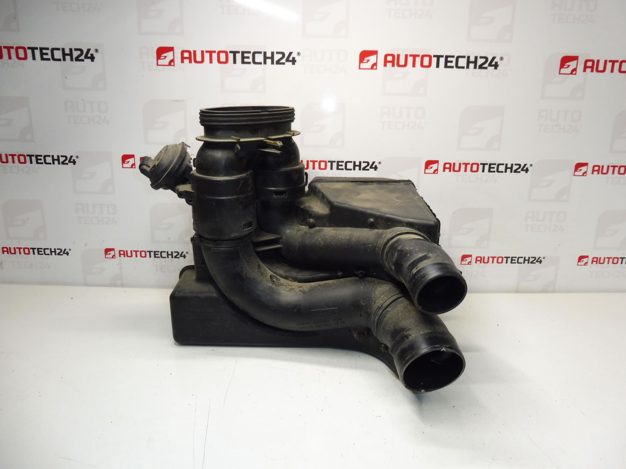 Filterkasten Citroën Peugeot 2.0 i 9643586380 9646189680