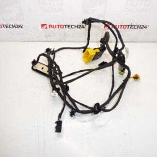 Citroen C4 Picasso Beifahrersitzgurt 6505V8