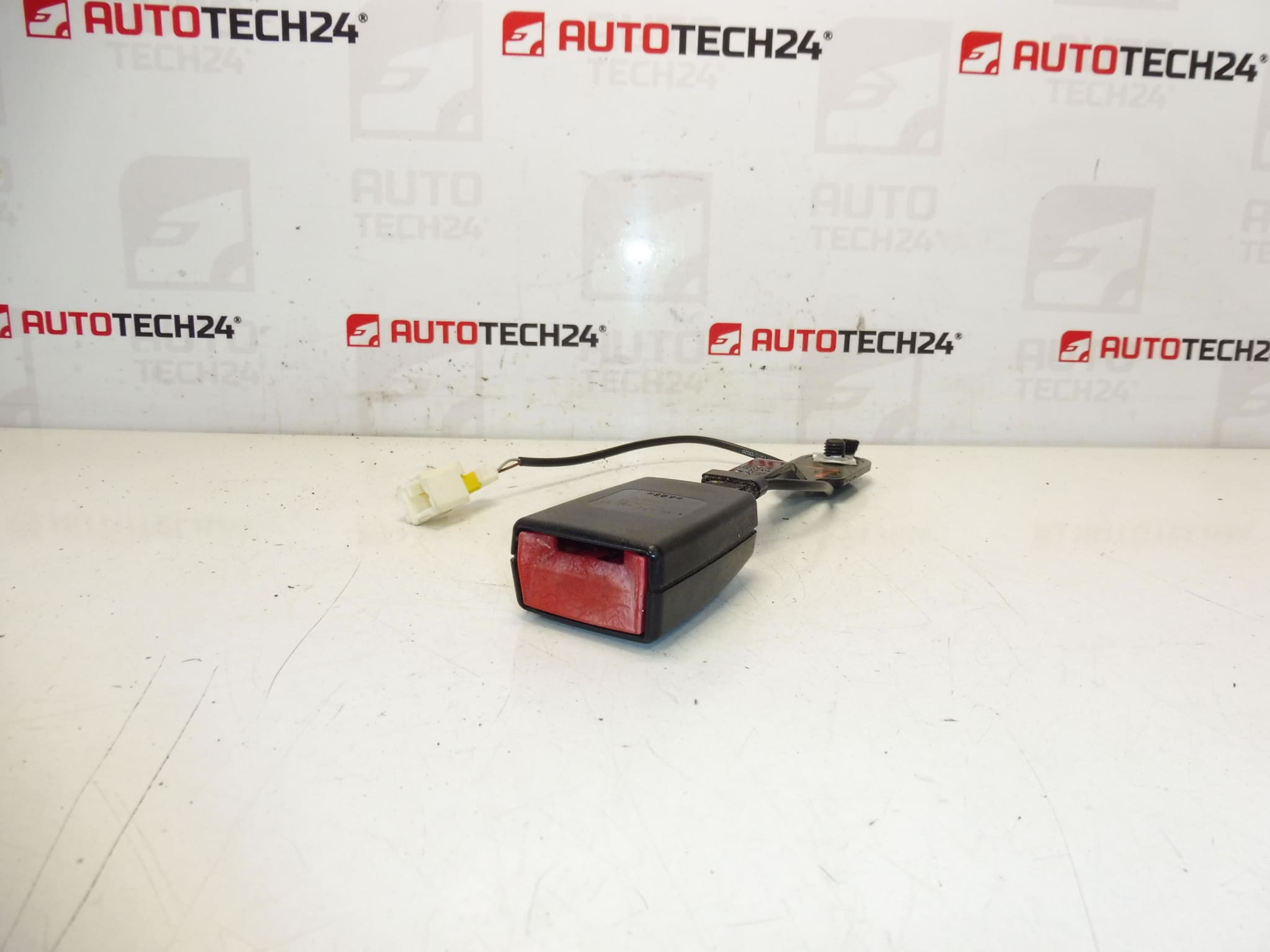 Sicherheitspasshalter für Citroen C3 II A51 Fahrzeuge