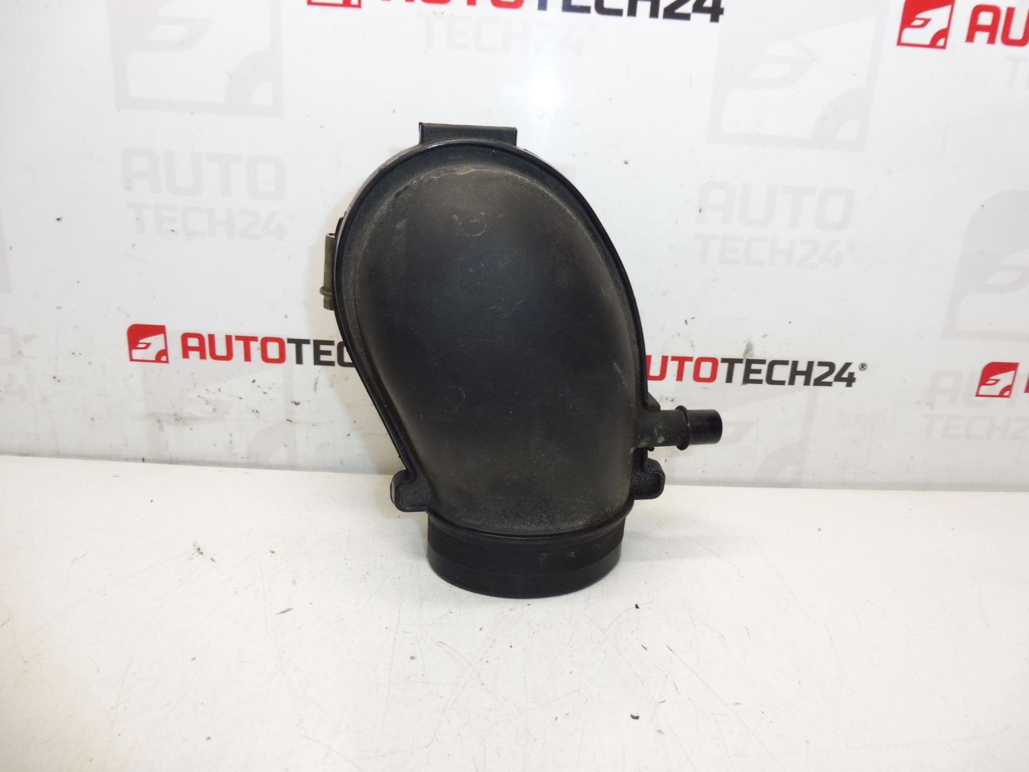 Anschluss Citroën Peugeot 2.0 i 9641733880 143431