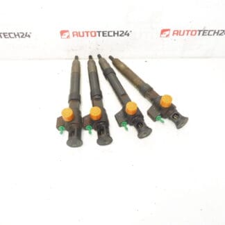 Einspritzset Bosch 2.0 HDI Laufleistung 141000 km 9674984080