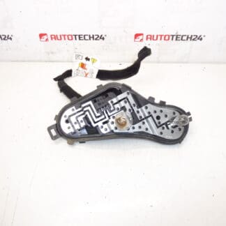 Peugeot 3008 Lampenfassung 9805510580