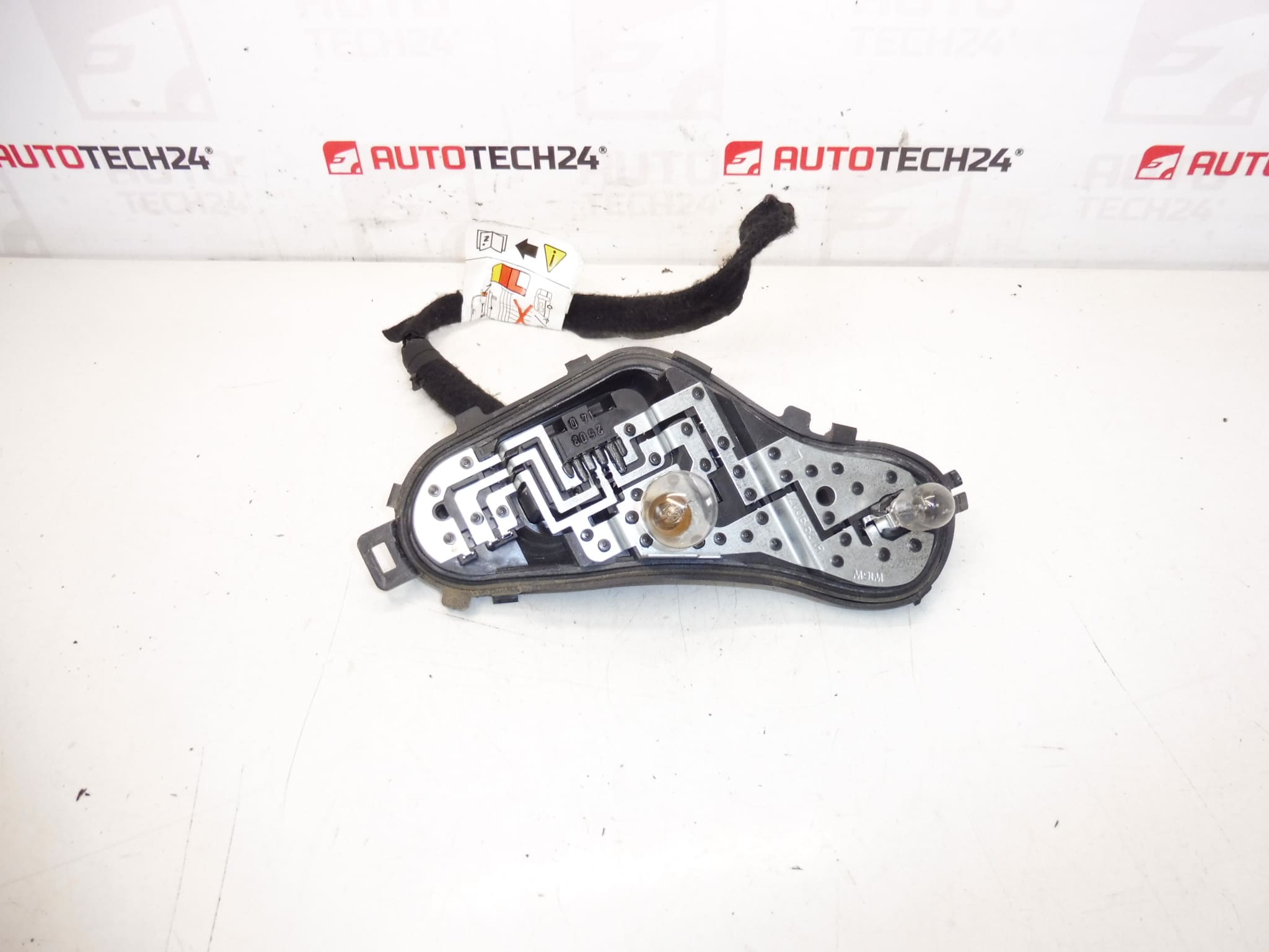 Peugeot 3008 Lampenfassung 9805510580