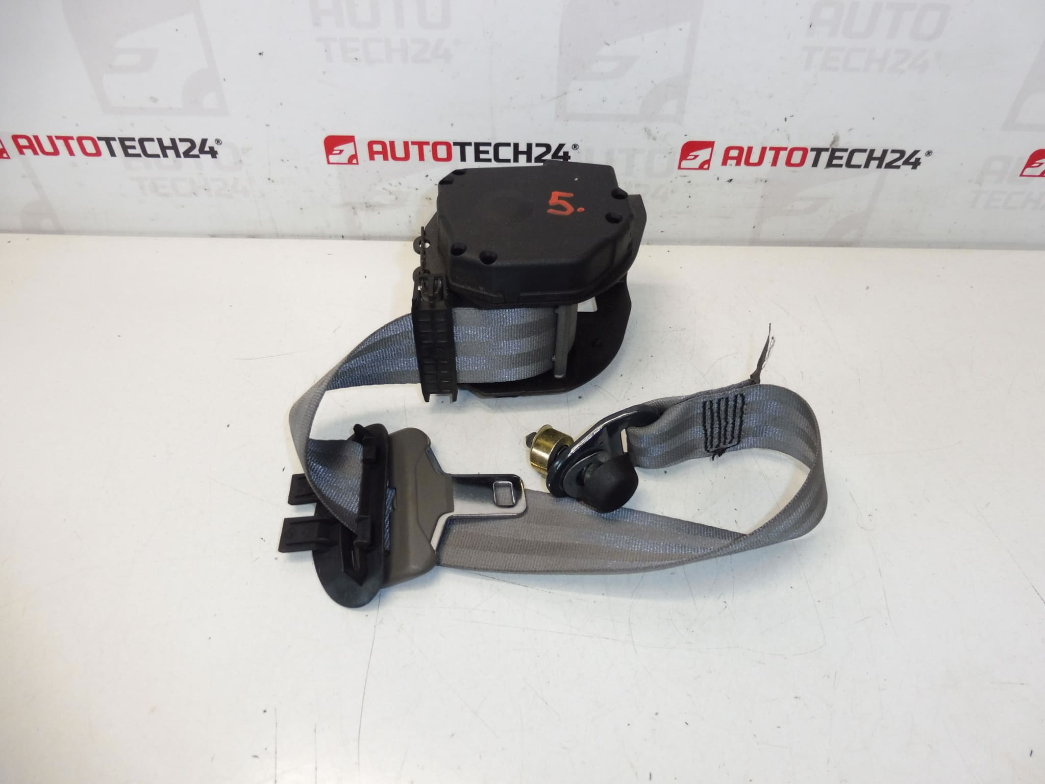 Sicherheitsgurt hinten Citroën C5 II 96325577GW 8974W5