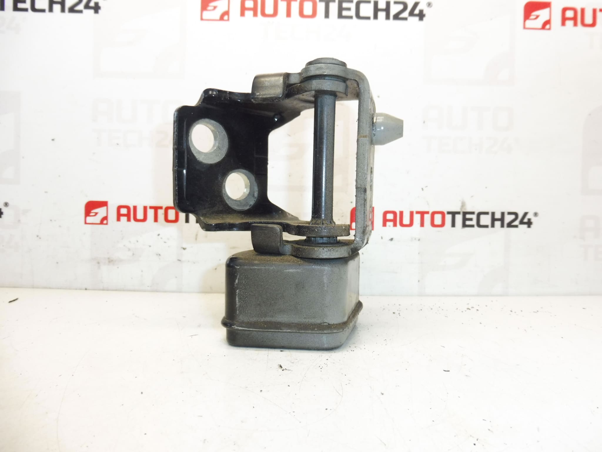 Türscharnier hinten links EXLD Peugeot 207 9037C1