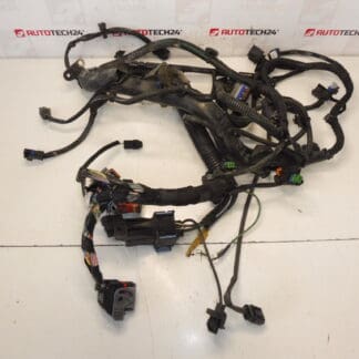 Kabelbaum Citroën Peugeot 2.0HDI RHJ 9684608680 6569RY