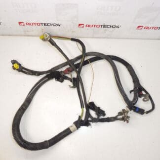 Kabelbaum positiv Citroën Peugeot 2.0HDI 9658054180 5642LP